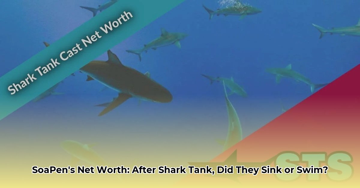 soapen net worth 2024 shark tank update